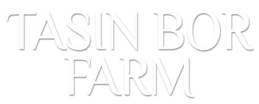 Tasin Bor Farm